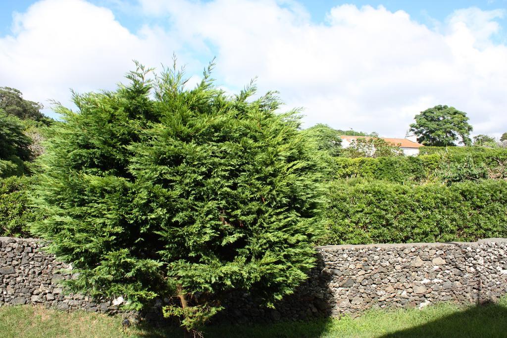 Apartamento Mar E Serra Ponta Delgada Exteriör bild